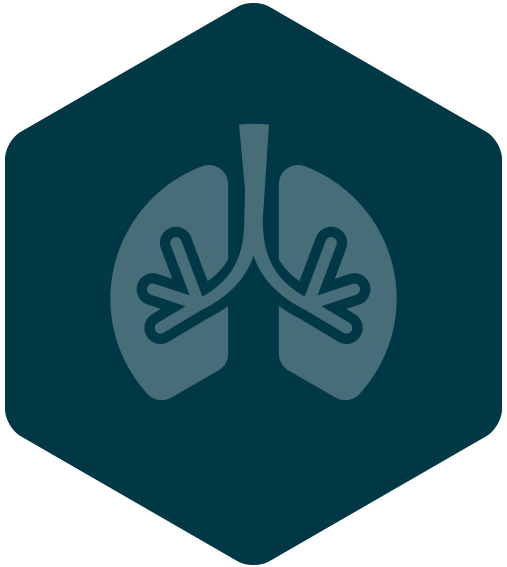 Respiration Wim Hof